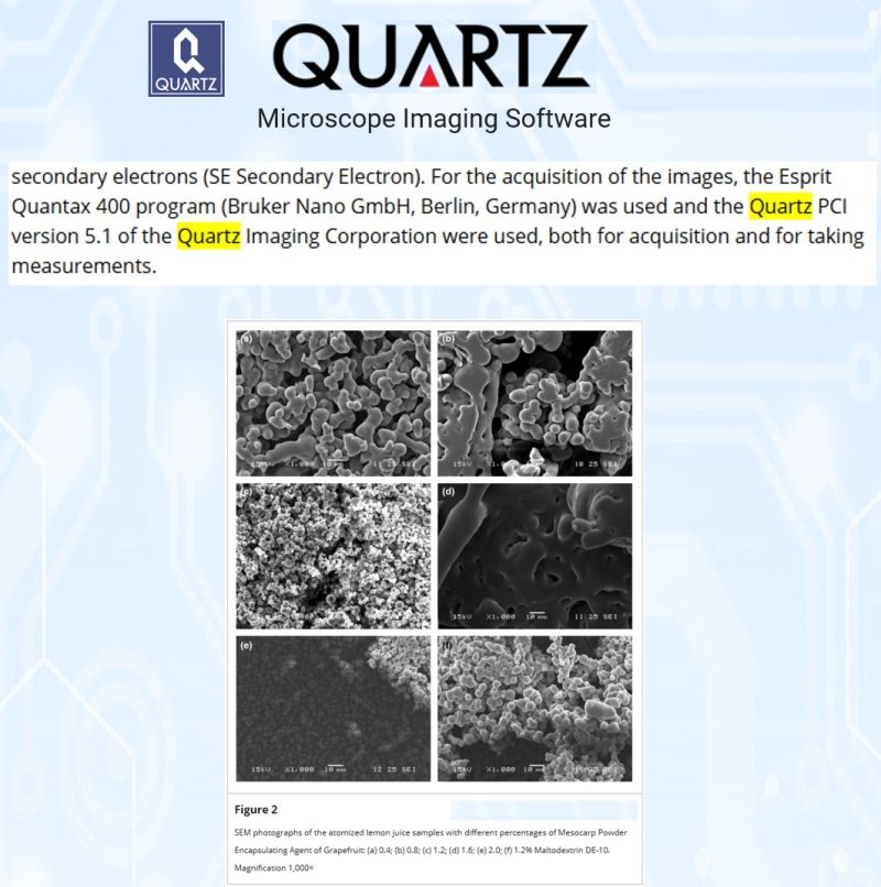 SEM micrograph of spray-dried lemon juice particles encapsulated with grapefruit mesocarp, imaged with Quartz PCI