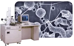 A scanning electron microscope with an SEM micrograph of cellular structures in the background