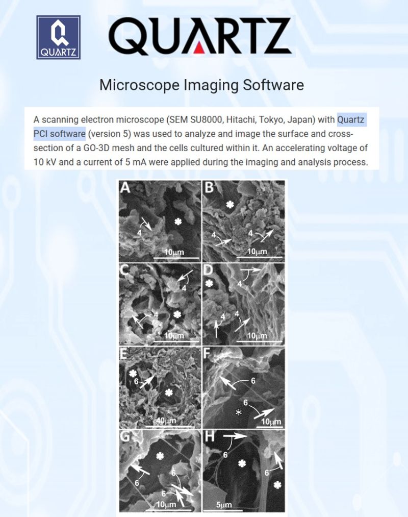 SEM image of graphene oxide 3D scaffold pore structure, analyzed with Quartz PCI across 500 pores