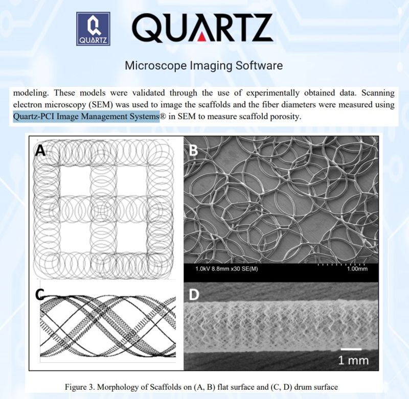 SEM micrograph of spray-dried lemon juice particles encapsulated with grapefruit mesocarp, imaged with Quartz PCI