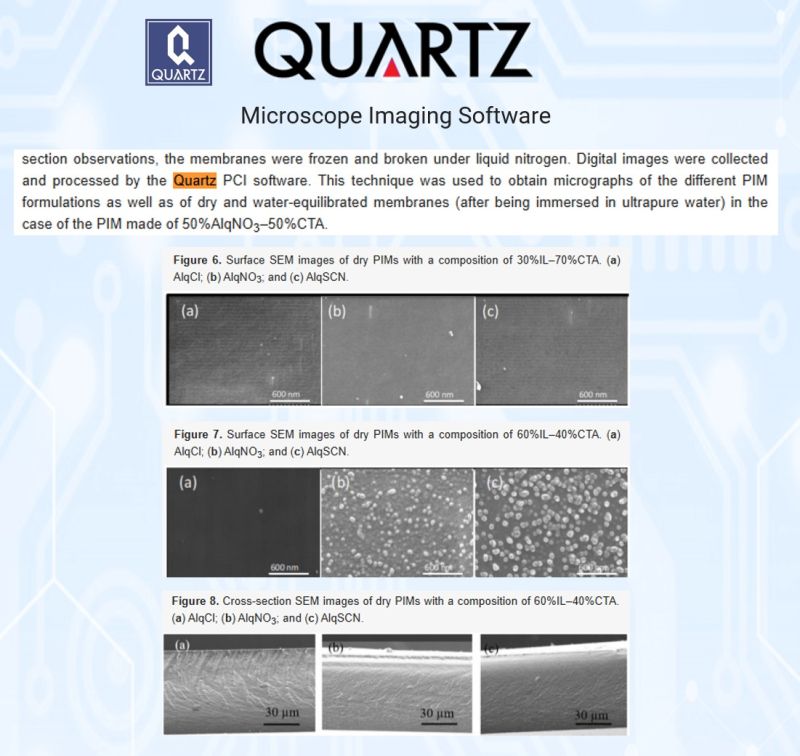 SEM micrograph of spray-dried lemon juice particles encapsulated with grapefruit mesocarp, imaged with Quartz PCI